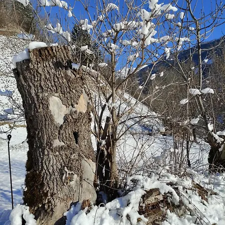 Kerschbaumer Rangersdorf