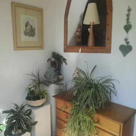 Kerschbaumer Rangersdorf