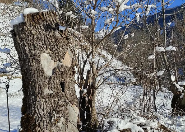 Kerschbaumer Rangersdorf